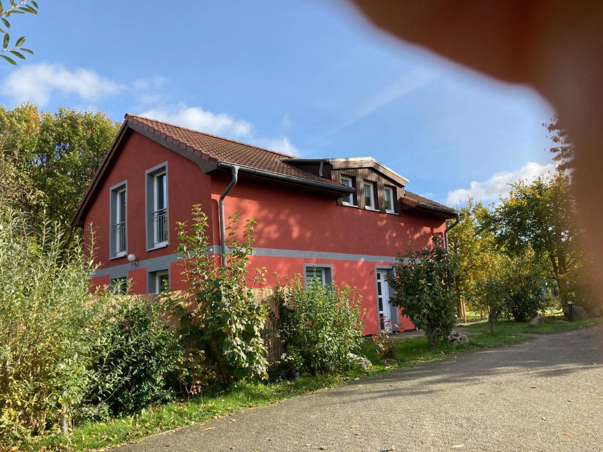 Urlaubsoase Ostsee Hohen Schoenberg 외부 사진