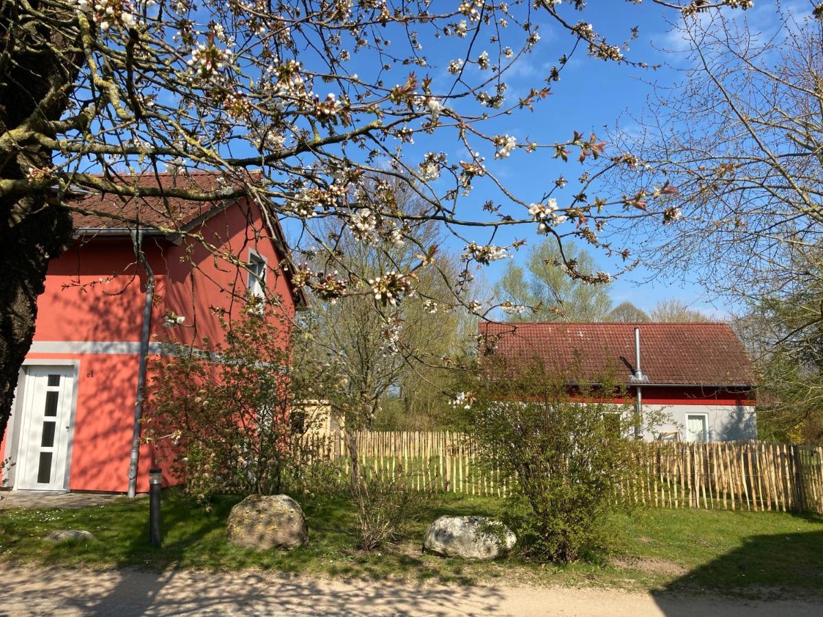 Urlaubsoase Ostsee Hohen Schoenberg 외부 사진